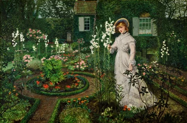 Il giardino del rettore, Regina dei gigli